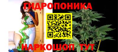 дмт Ливны